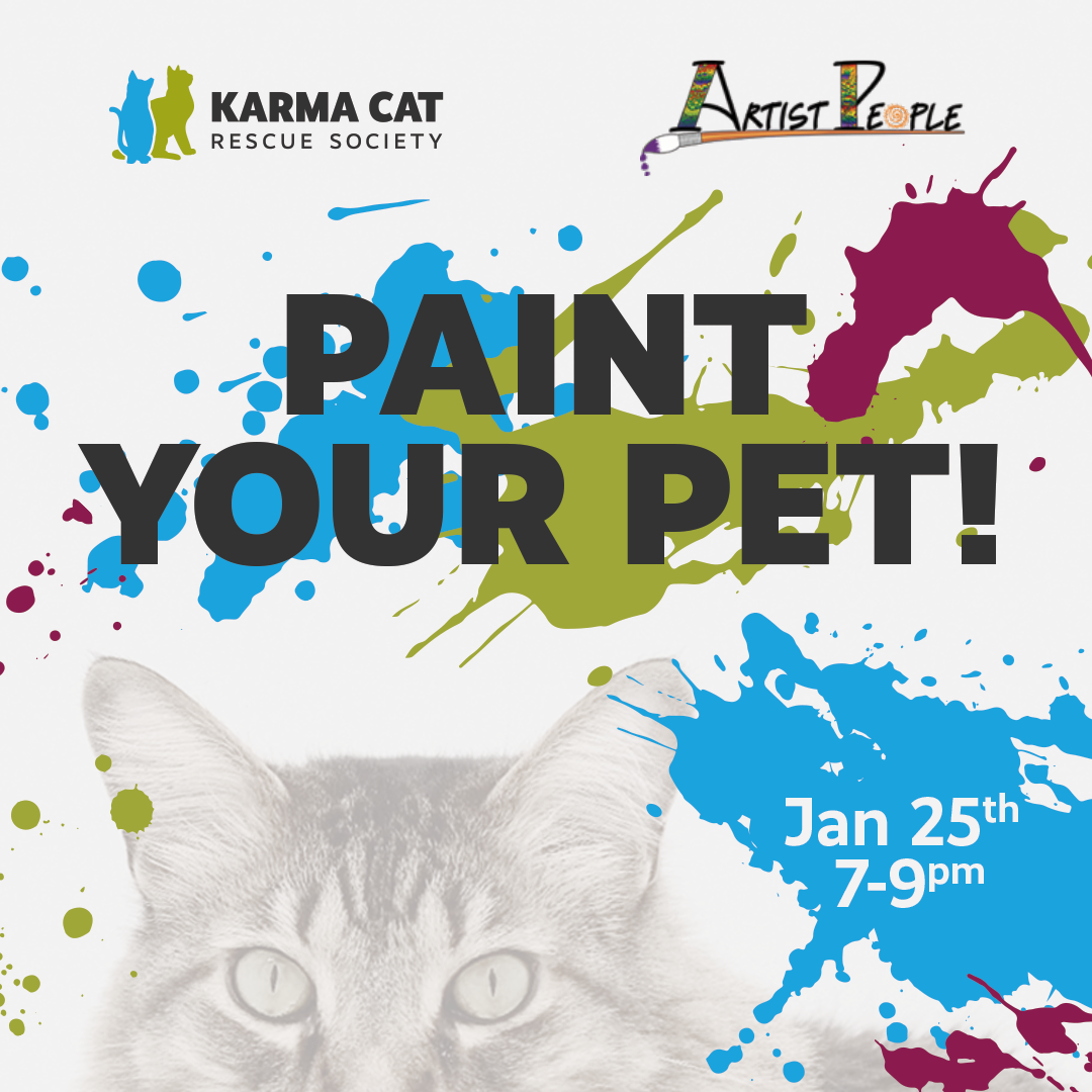 2024 Paint Your Pet Karma Cat Rescue Society   KCZD PaintYourPet 012524 