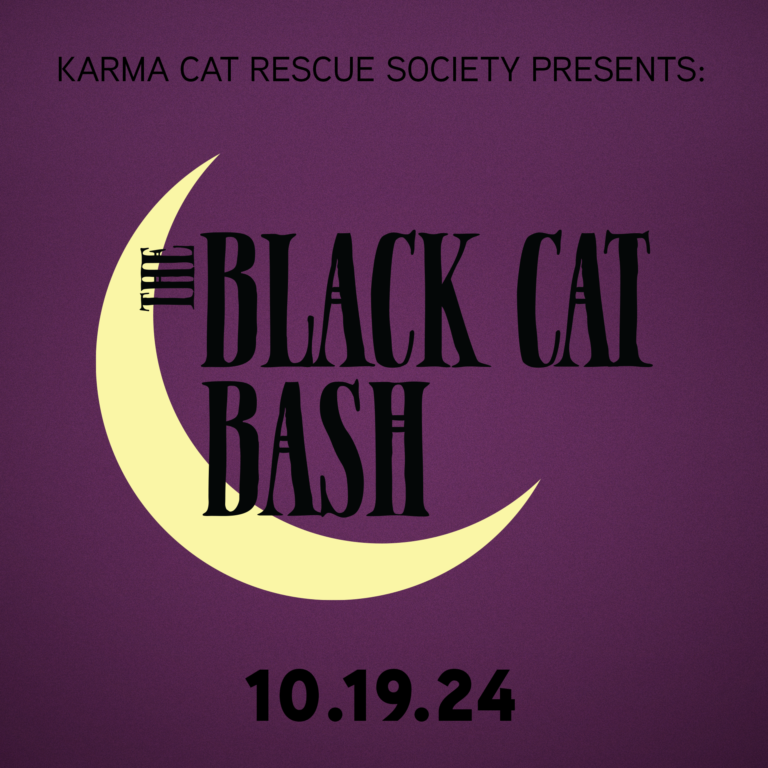 Black Cat Bash