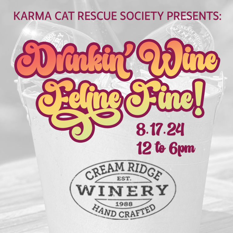 Karma Cat Day at Cream Ridge Winery