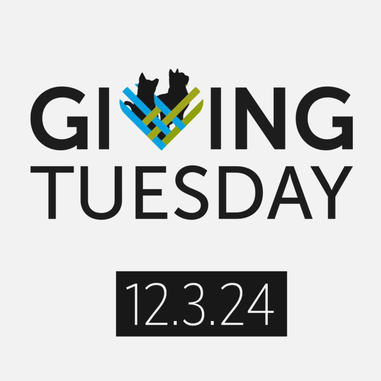 Giving Tuesday 2024